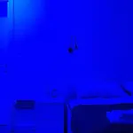 Blueberry Zadar