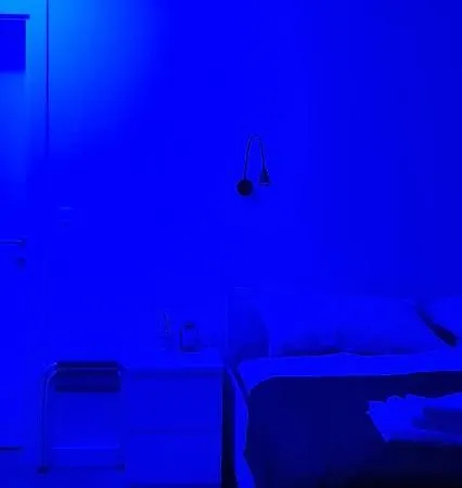 Blueberry Ζαντάρ