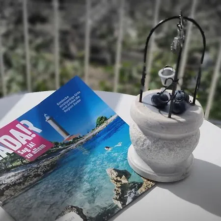 Blueberry Ζαντάρ