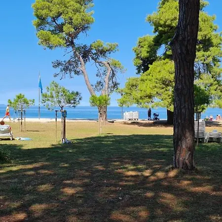 Blueberry * Ζαντάρ