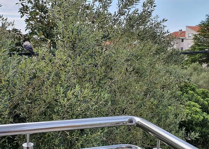 Apartmán Blueberry *